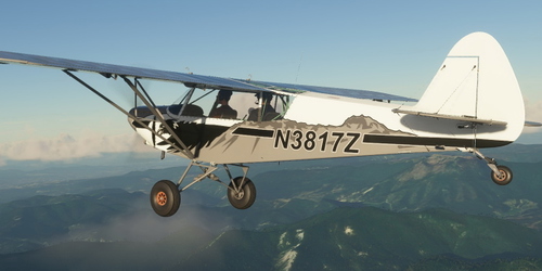Savage Cub N3817Z