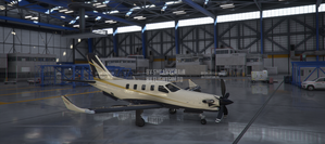 Daher TBM 930 X series (now 9 colours) thumbnail 12