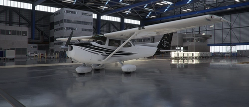New Zealand Wellington Aero Club C172 Skyhawk (STANDARD)