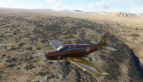 Bonanza G36 N22168 BP-Foxy