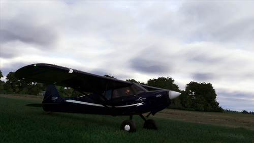 X-Cub BlueCub