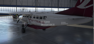Australia Skytrans Caravan 208 thumbnail 3