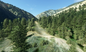 Bush strips in Idaho & Oregon thumbnail 4