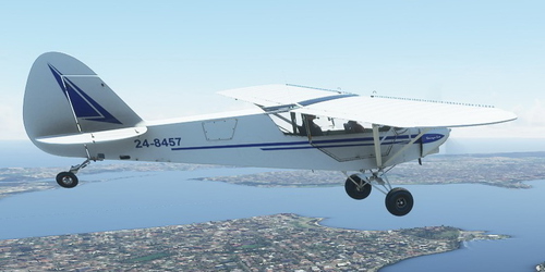 Savage Cub 24-8457