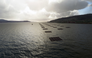 Rande Bridge and Vigo Bay thumbnail 8