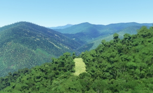Bush strips in Papua thumbnail 4
