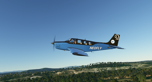 Bonanza Neofly (4K Updated)
