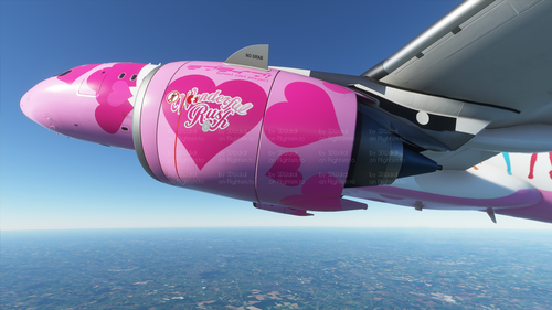 Wonderful Rush A320NEO