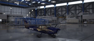 Cessna 172 (G1000) X Series (8 Colours) thumbnail 4