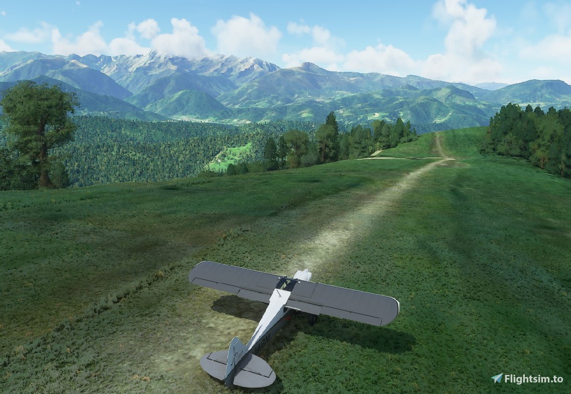Pyrenees Bush Trip - Image 1