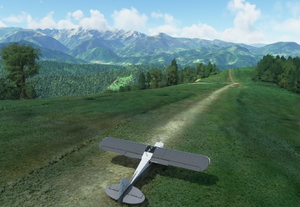 Pyrenees Bush Trip thumbnail 1