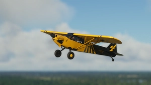 X-Cub Hornet (4K) thumbnail 9