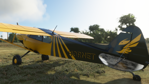 X-Cub Hornet (4K) thumbnail 6