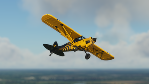 X-Cub Hornet (4K) thumbnail 10
