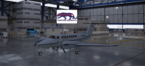 Asobo-KingAir350-USAF