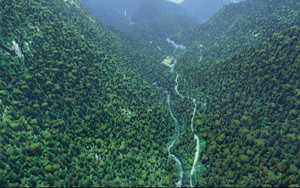 Pyrenees Bush Trip thumbnail 7