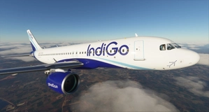 IndiGo - 8K thumbnail 3