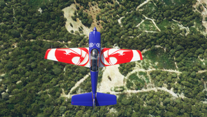 Extra 330 Equipe de Voltige de l'Armée de l'Air thumbnail 3