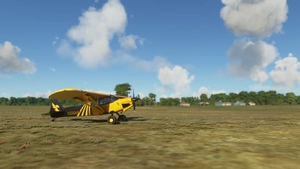 X-Cub Hornet (4K) thumbnail 8
