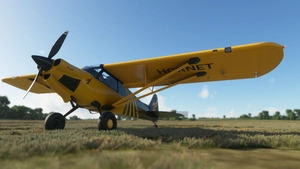 X-Cub Hornet (4K) thumbnail 5