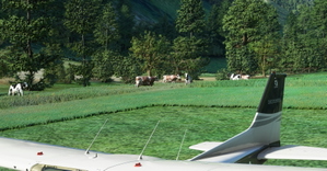 Locher Sarentino Airfield [LOCH] thumbnail 13