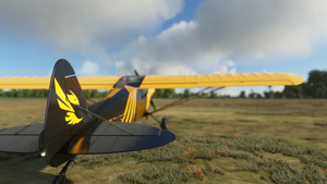 X-Cub Hornet (4K) thumbnail 7