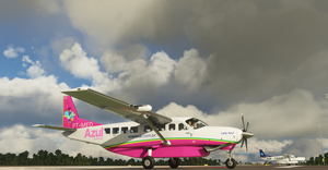 AZUL CONECTA ''Lady Azul'' C208B  thumbnail 2