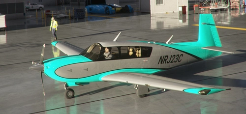 Mooney Livery 9 Colors Style3
