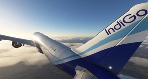 IndiGo - 8K thumbnail 2