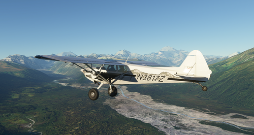 XCub N3817Z