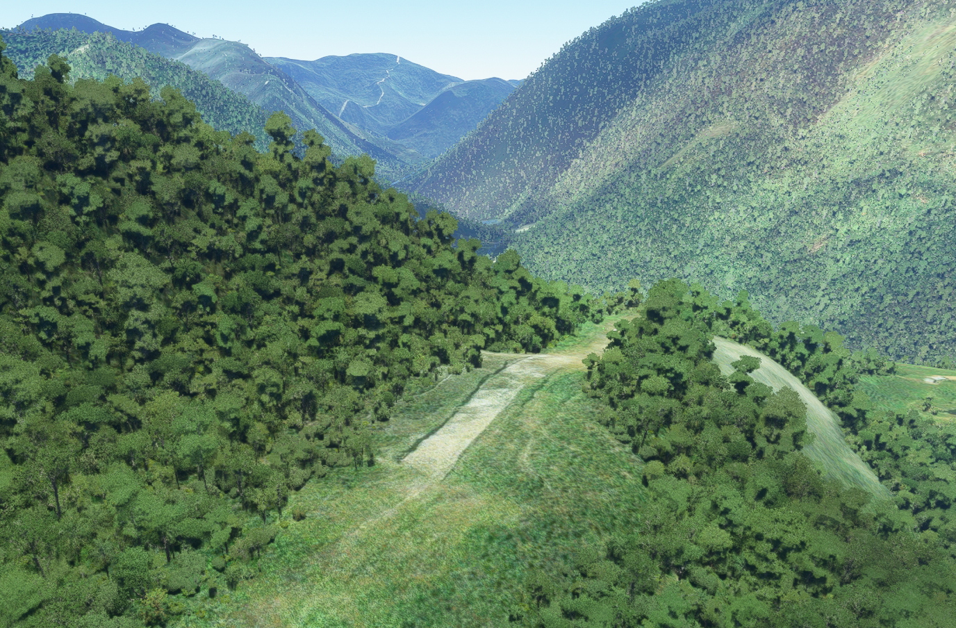 Bush strips in Papua - Image 1