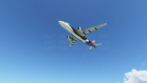 Southwest Airlines Shamu livery thumbnail 3