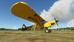 X-Cub Hornet (4K) thumbnail 4