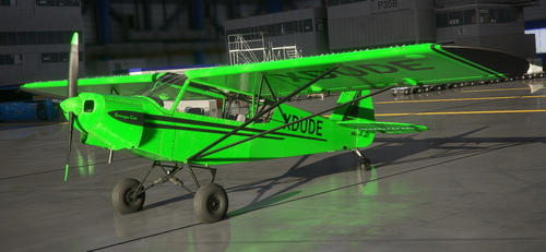 Savage Cub Green & Black