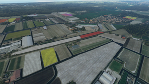 Dutch Tulip Fields thumbnail 2