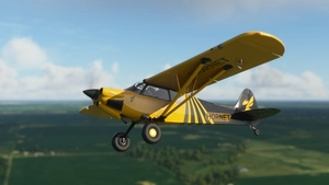 X-Cub Hornet (4K) thumbnail 3