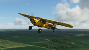 X-Cub Hornet (4K) thumbnail 11