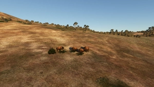 KAVX Catalina Airport (ACE Clearwater Airfield) thumbnail 10