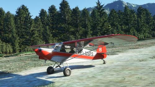 US Forest Service Savage Cub