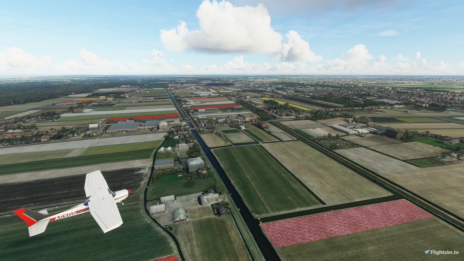 Dutch Tulip Fields - Image 1