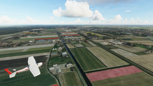 Dutch Tulip Fields