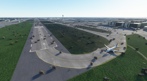 London Heathrow Elephant Invasion