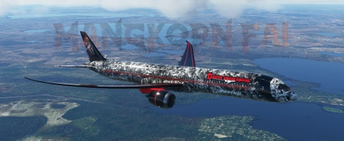 787-10 Death From Above