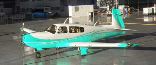 Mooney Livery 8 Colors Style 4