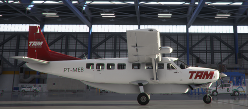 TAM express PT-MEB