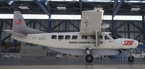 Sete Taxi Aéreo, PT-MEL