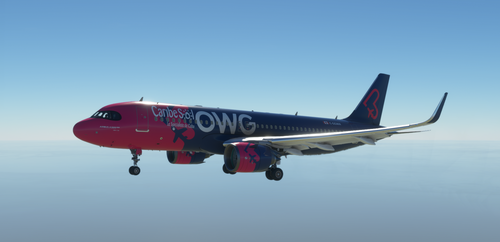 A320Neo OWG Airlines -8K
