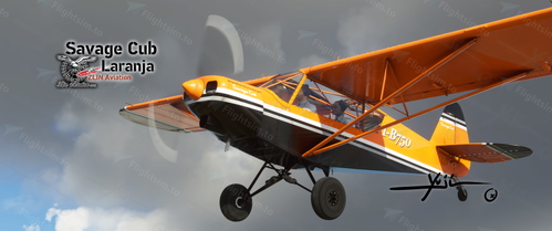 Savage Cub I-B750