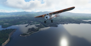 New Zealand Bush Adventure! thumbnail 10