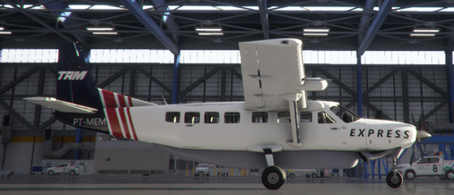 TAM Express PT-MEM